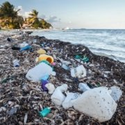 giornata mondiale dell'ambiente lotta alla plastica 2